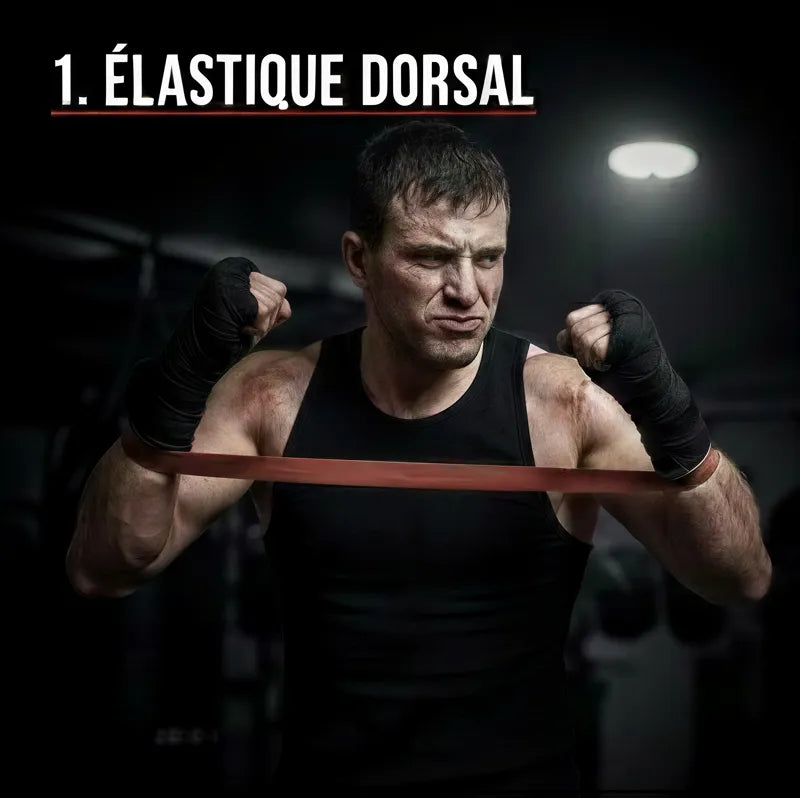Élastique Dorsal